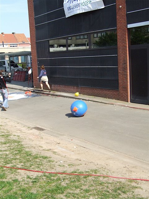Klik op de foto voor een vergroting
